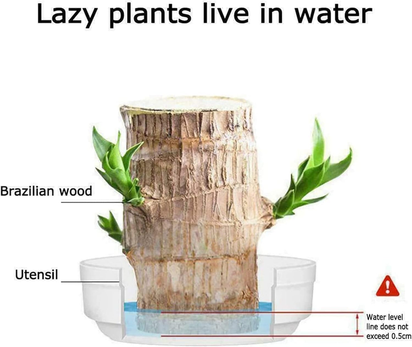 LuckyLeaf™ Hydroponic Plant